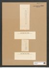 Diatomeae indet. Zeichnungen Sammlung Grunow Nr. 5832 (NHMW-BOT-W0374260)